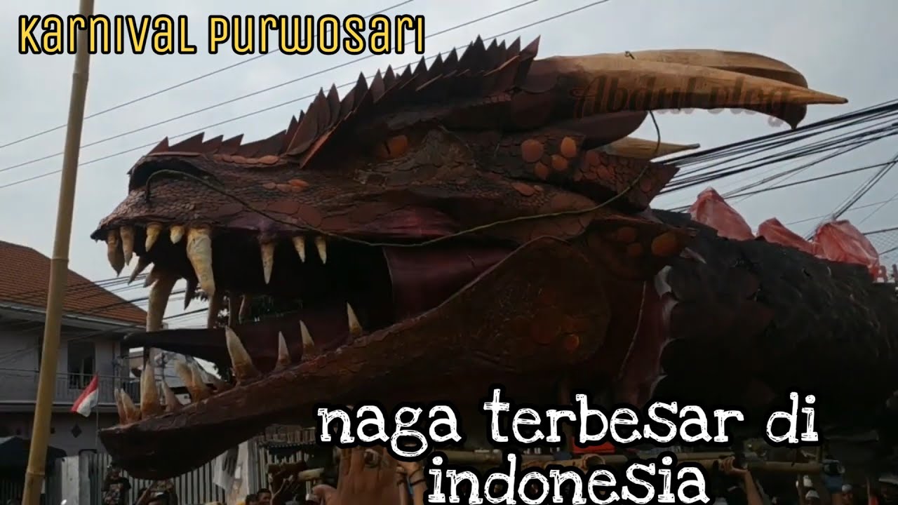 VIRAL butuh 100 orang lebih 
untuk mengangkat ular naga super besar