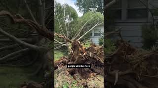 Strong winds and storms flip semi uproot trees and leave thousands without power in Lousville