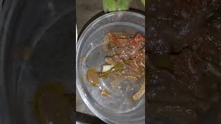 Organic Food Filipino Recipe  Durian, Sabaw na Hipon, raw corn, banana with ginamos #shorts #viral