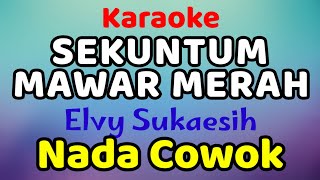 SEKUNTUM MAWAR MERAH Karaoke Nada Cowok Elvy Sukaesih