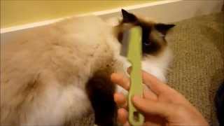 Safari Flea Comb for Cats Review - ねこ - ラグドール - Floppycats Safari Flea Comb For Cats