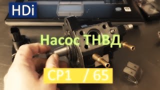 Насос CP1 \ насос HDi \ ТНВД common rail