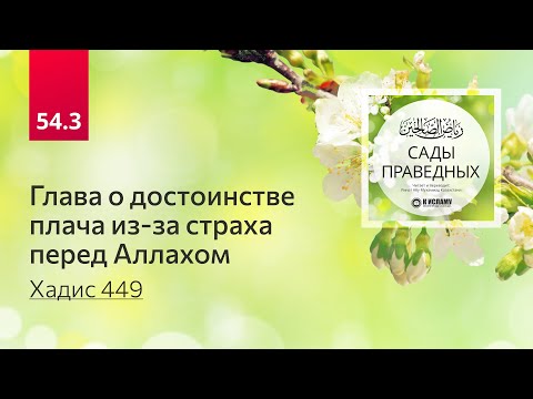 54.3 Сады праведных. ГЛАВА О ДОСТОИНСТВЕ ПЛАЧА ИЗ-ЗА СТРАХА ПЕРЕД АЛЛАХОМ. Хадис 449