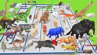 Maze Madness Race: Wild Animals Vs Dinosaurs, Which is the Fastest? Animal Revolt Battle Simulator