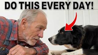 The 6 Acts of Love Your Dog Hopes to Receive From You for Life
