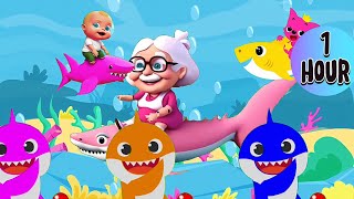 Coco Full Episodes _ Coco Full 1 Hour - More Nursery Rhymes & Kids Songs #1