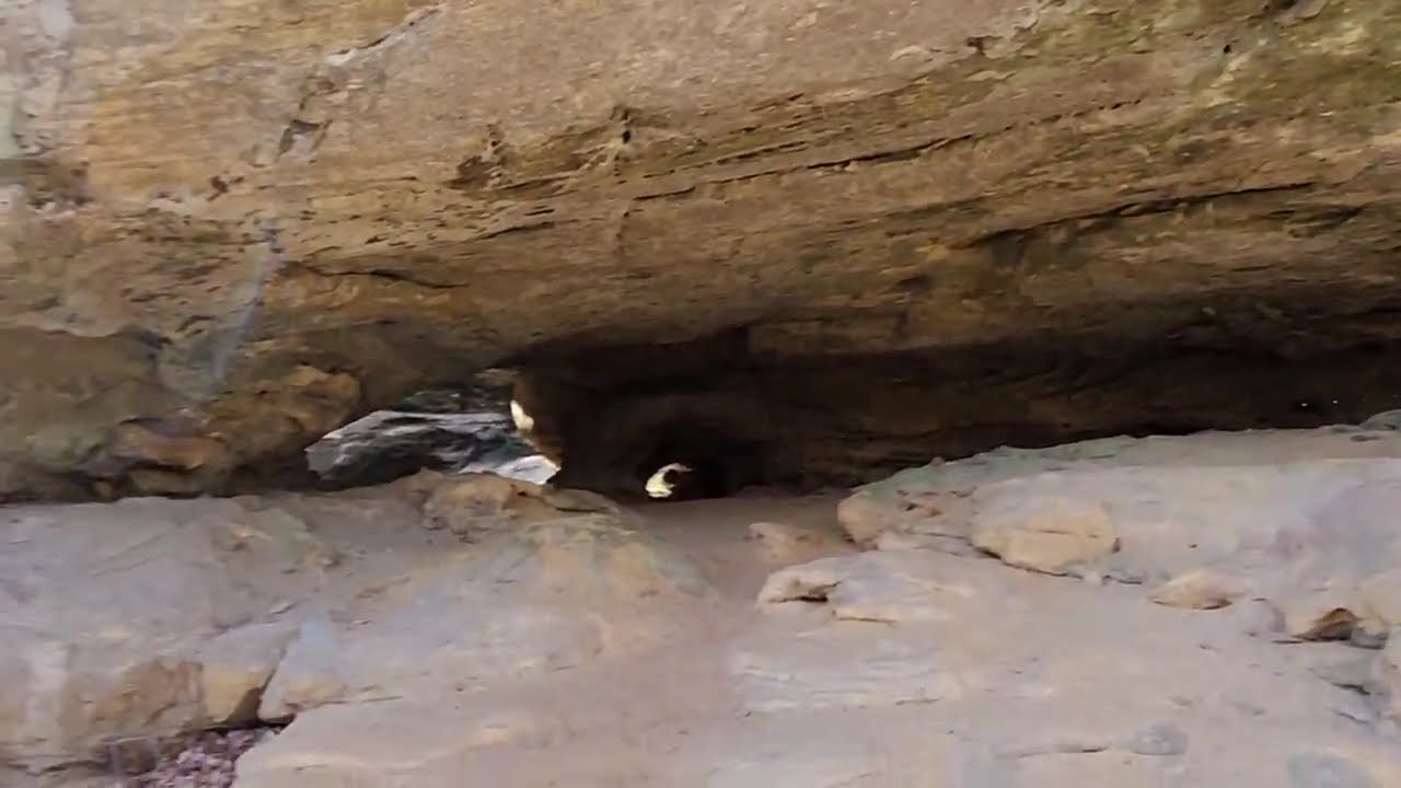 The Upper Canyon Trail at Pogue Creek Canyon3