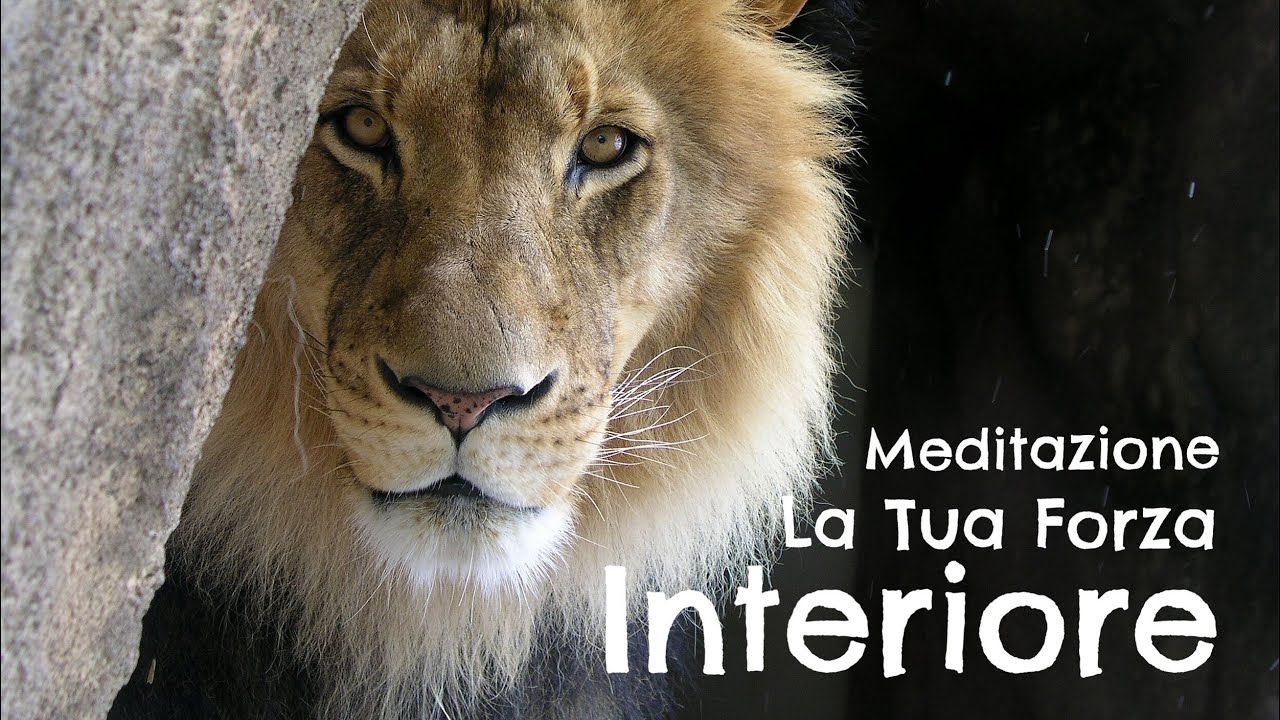 La Tua Forza Interiore - Meditazione e Visualizzazione per rinforzare ...