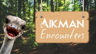 Aikman Encounters