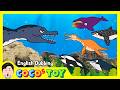 En DubbingㅣThe Adventures of Baby Dolichorhynchopsㅣsea animals for kidsㅣCoCosToy
