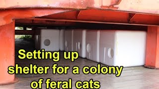 Setting up shelter for a TNR colony of feral cats