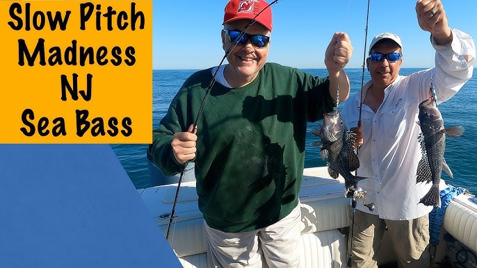 Tutorial: BEST Tactics for Black Sea Bass! (How to, Wrecks, Bottom