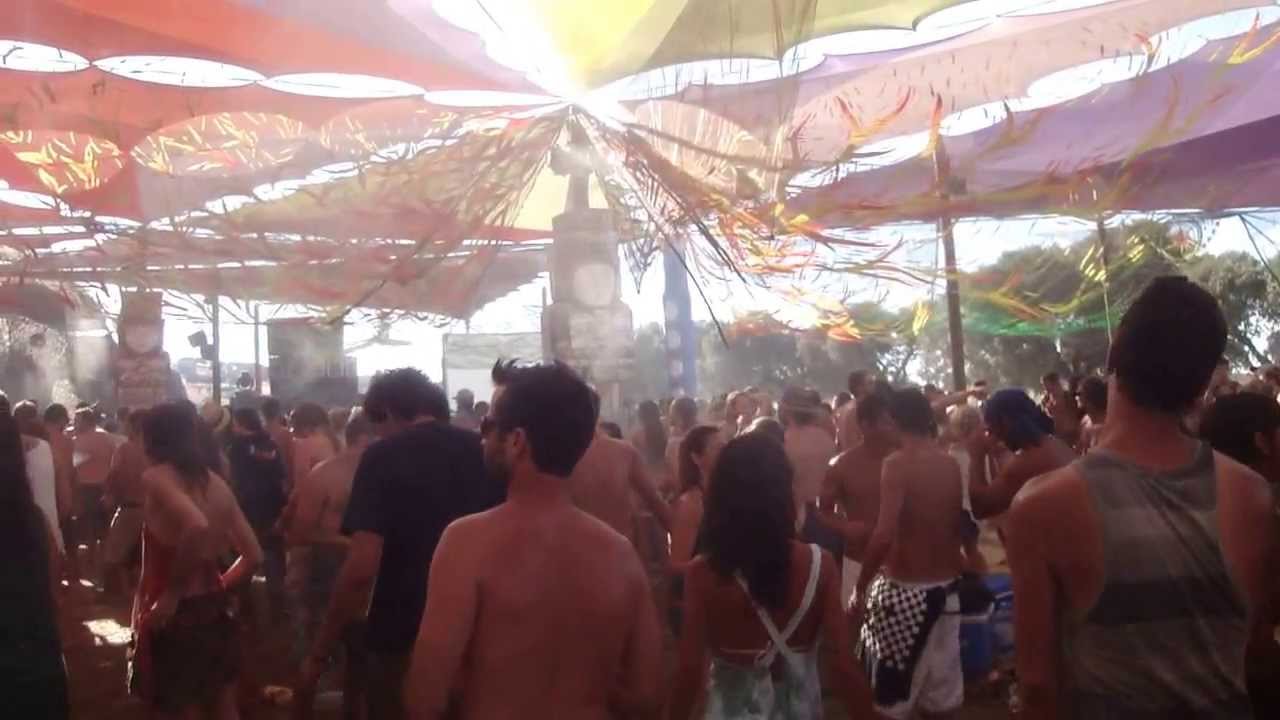 Sonic Species (2) @ Freedom Festival 2013