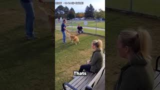 Karen Tried STEALING This Man’s Dog… Then the Camera Audio Came Out 😳