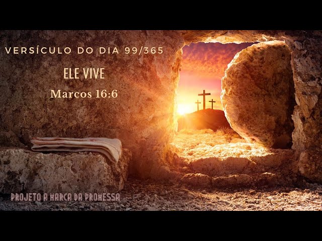 Projeto Vida Nova on X: E Jesus disse-lhe: Se tu podes crer, tudo é  possível ao que crê. Marcos 9:23 #bomdia #projetovidanovadeiraja   / X