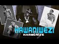 Harmonize - Hawaniwezi (Official Music Video)