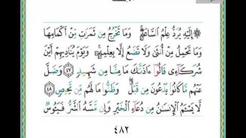 سورة فصلت من ٤٧ الى ٥٤ مكررة