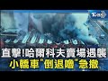 俄烏戰爭