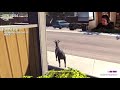 Asshole Plays Goat Simulator