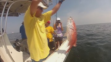 Science Smart: Artificial evolution