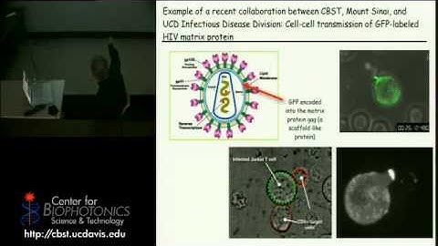 Overview of Optical Microscopy