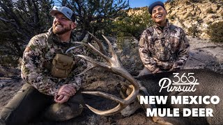 New Mexico Mule Deer Hunt