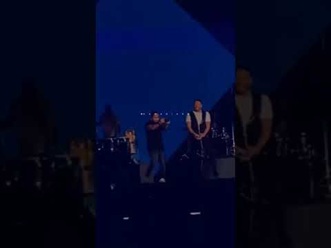 طالع موضه حماقي