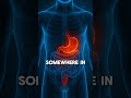Why You’re Bloated After Every Meal | Gut Health and Digestion Support