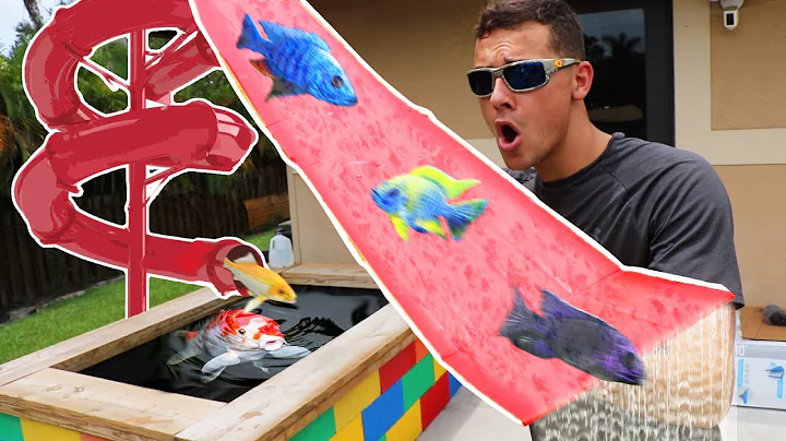 Colorful Fish Waterslide For My Mini backyard Them...