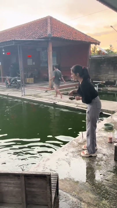 Jangan lupa mancing bolo  #ladyangler #mancing #fishing #angler #carpfishing #mancingmania