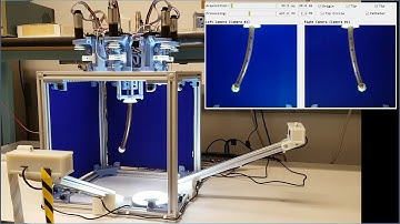 Experiments for Kinematics Analysis of a Multi-Tendon Continuum Robot with 3D Reconstruction