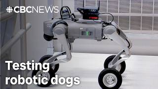 Robot dog lends a helping paw @CBCManitoba