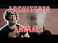 REACTION | &#39;Architects - Animals&#39;