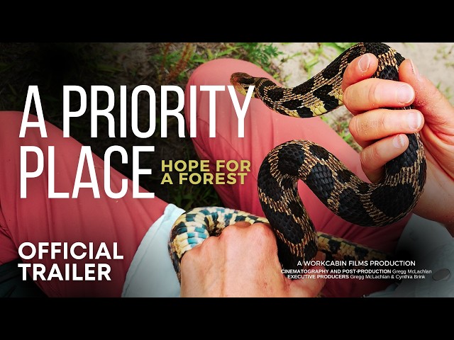 Trailer 2026 A Priority Place