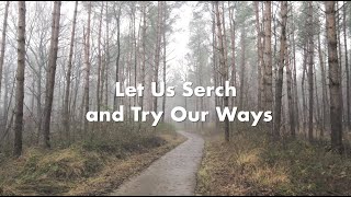 Let Us Search and Try Our Ways