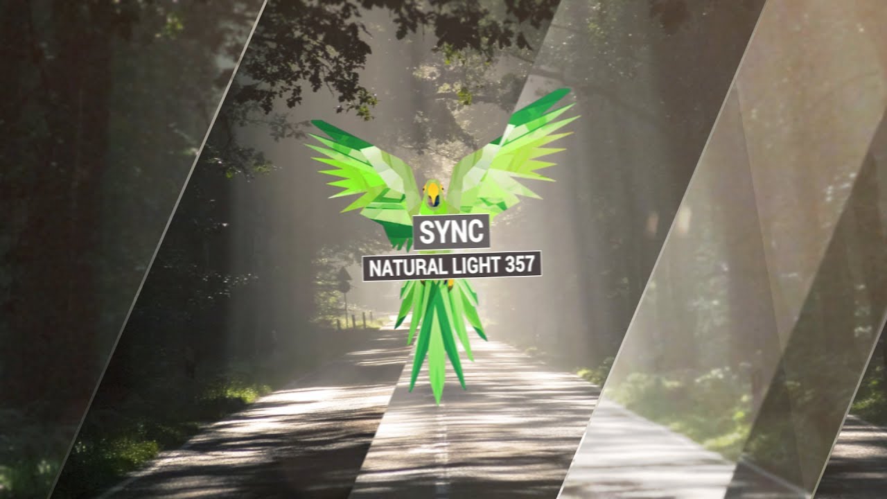 SYNC - Natural Light 357