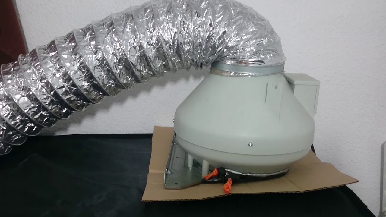 DR60 v3.0 60x60x170 Critical Bilbo Mother Plants