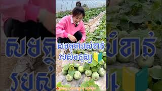 កម្រងឃ្លាទូន្មាន មនុស្សត្រូវចេះដាក់ខ្លួន|ទម្លាប់ល្អក្នុងការរស់នៅ-លោកគ្រូអ៊ុំ សារ៉ាវុធ\/Taste of life