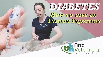 How To Inject Your Diabetic Dog With Insulin - DIABETES (Part 2)