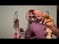 Ep 6 Timeout Tuesday.  Wishing you Merry Christmas!!