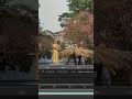How to stabilize a video in after effects