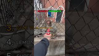 The TOP 5 Angry Monkey Moments that Will Leave You SPEECHLESS Profile