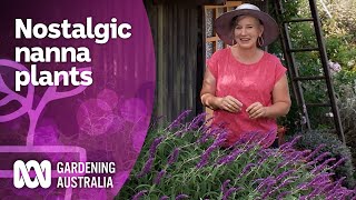 Step back in time with nostalgic nanna plants | Garden Design And Inspiration | Gardening Australia