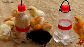 Como hacer Bebedero y comedero para pollitos con botellas de plástico