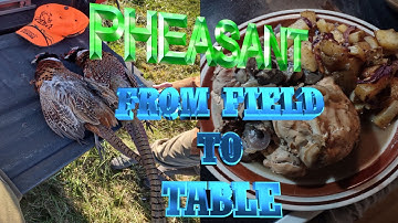 Wild Pheasant Hunting & Cooking – Field to Table with Long Outdoors!