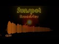 Broadster  sunspot