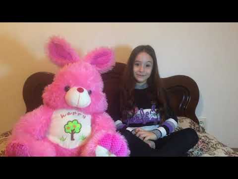 “ჭკვიანი ბაჭია”