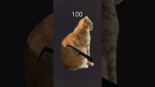 tf