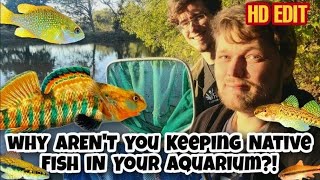 45 mins From Chicago We Caught All These Beautiful Native Fish! Fish Collecting w/ Johnathon Butkus