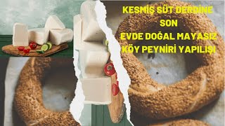 Evde Doğal Mayasiz Si̇rkeyle Köy Peyni̇ri̇ Yapimi Kesmi̇ş Süt Derdi̇ne Son Organi̇k Lezzet.
